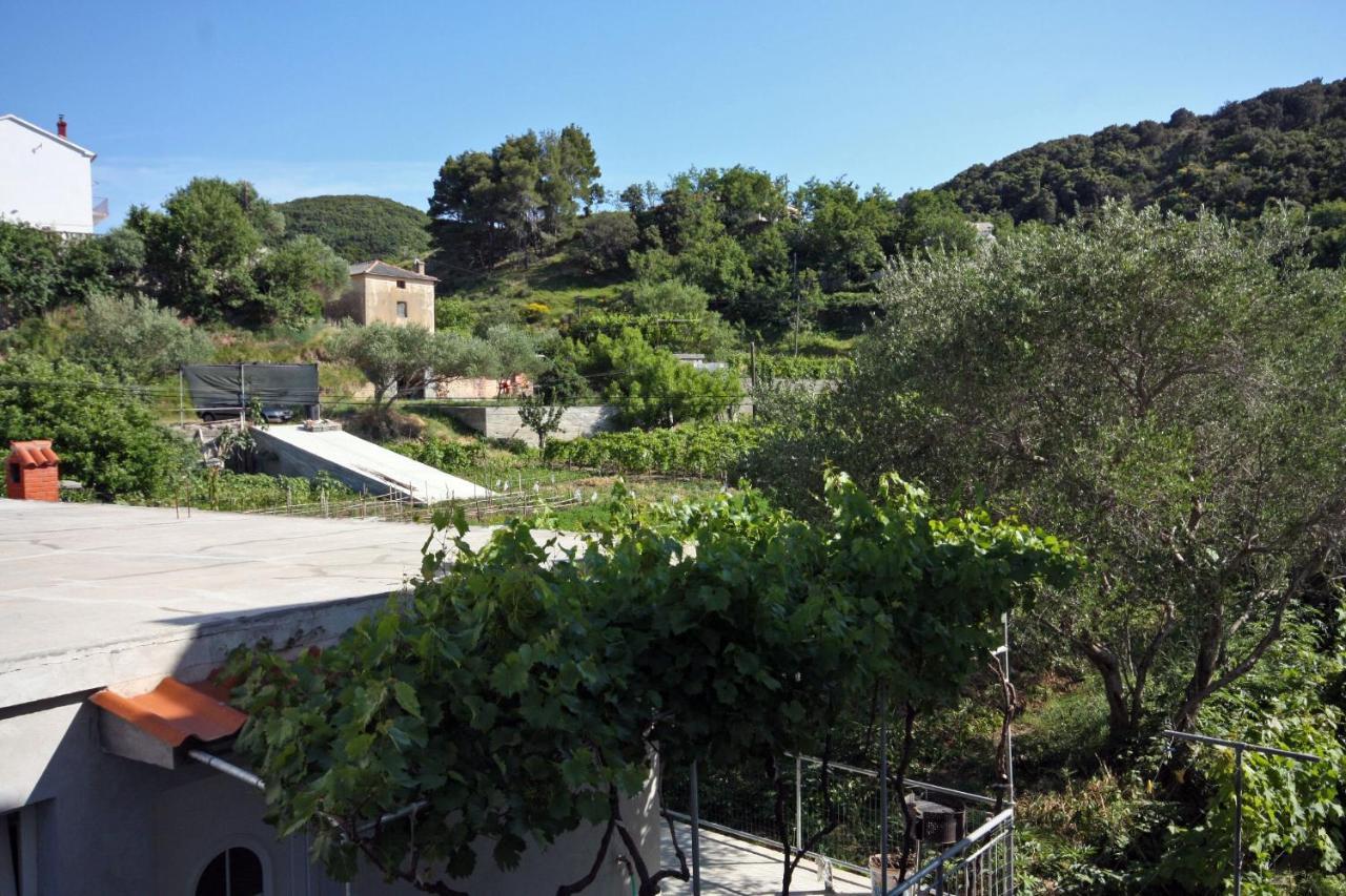 Family Friendly Apartments With A Swimming Pool Supetarska Draga - Donja, Rab - 2019 外观 照片